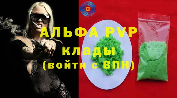 гидра Ельня