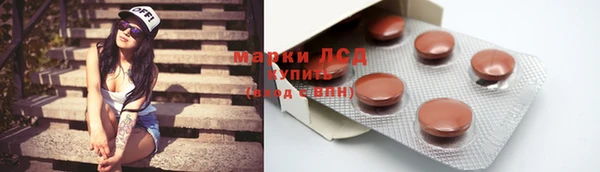 стафф Елизово