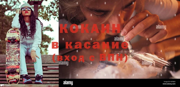 соль курить ск Новодвинск