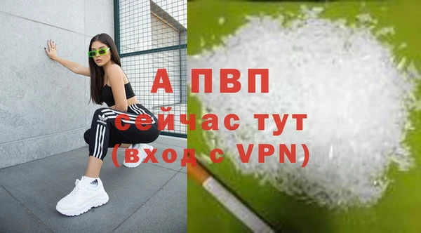 соль курить ск Новодвинск