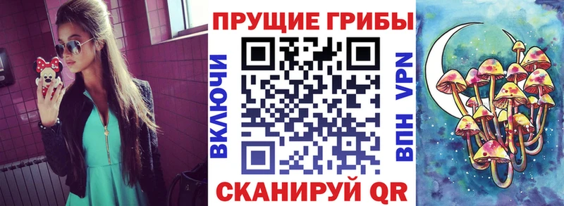 Галлюциногенные грибы GOLDEN TEACHER  Пучеж 